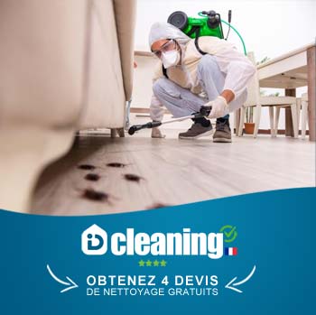 désinsectisation france